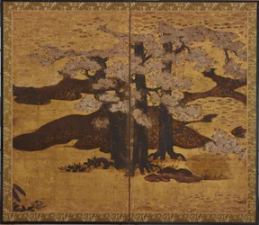 Cerisier en fleurs, période Edo, vers 1580-1635