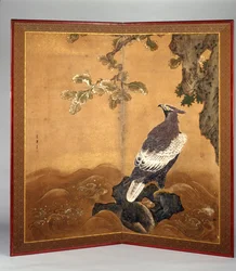 Aigle-faucon et chêne