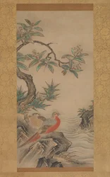 Faisans parmi les arbres : Fleurs des quatre saisons