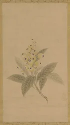Une branche de nèfles, période Edo, 17e siècle