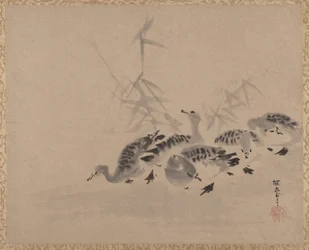 Canards et roseaux, vers 1650