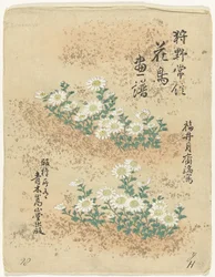 Table des matières (Bloemen- en vogelschetsen van Kano Tsunenobu, Kano Tsunenobu kacho gafu)