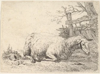 Un mouton couché avec ses pattes repliées sous son corps à côté d