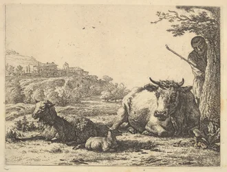 Vache, mouton adulte et jeunes moutons couchés dans l