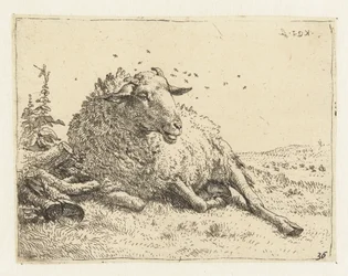 Mouton près d