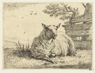 Mouton près d
