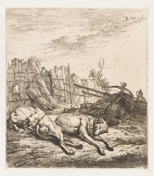 Chiens de chasse endormis (Animaux)