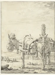 Deux mules