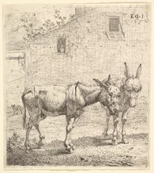 Deux ânes dans une cour herbeuse, l