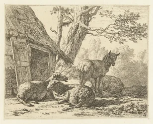 Quatre moutons