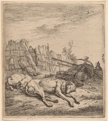 Chiens de Chasse