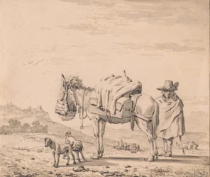 Homme avec un mulet