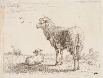 Brebis avec agneau