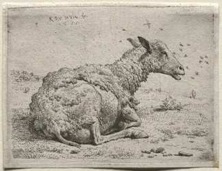 Le mouton et les mouches