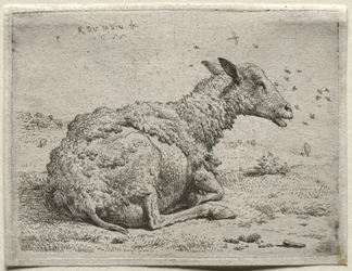 Les moutons et les mouches