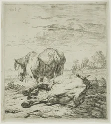 Deux chevaux