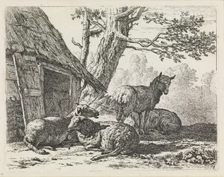 Quatre moutons