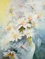 Chrysanthème, Snowcap