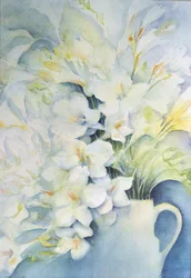 Freesia, Aurora et Ballerina dans un pichet blanc