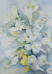 Freesia Eldus, géant blanc