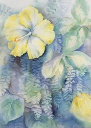 Hibiscus, jaune