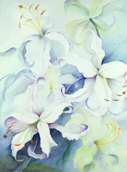 Lilium, Or Impérial
