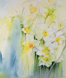 Narcisses et freesia