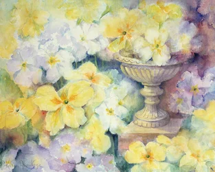 Polyanthus à Hurst