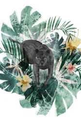 La mystérieuse panthère de la jungle