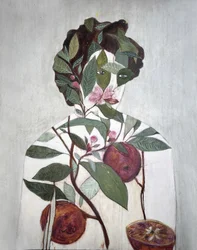 Illustration botanique représentant des oranges