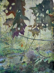 Ruisseau des bois en automne