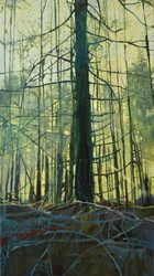 Lumière de la forêt éthérée