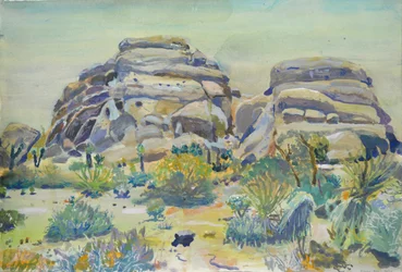 Paysage de Joshua Tree