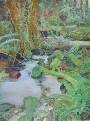 Ruisseau de la forêt moussue