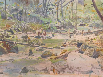Un ruisseau paisible en forêt