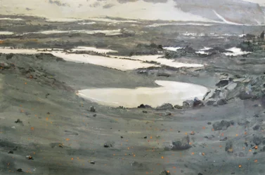 Paysage de la toundra austère