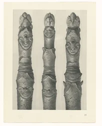 Étude de plante (Urformen der Kunst)
