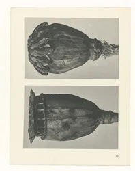 Étude de plante (Urformen der Kunst)