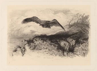 Aigle en vol