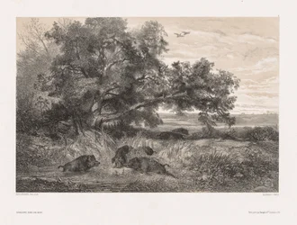Animaux et Paysage d