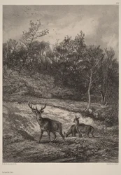 Au bord de l