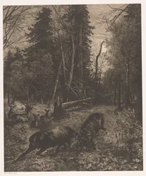 Paysage forestier avec deux cerfs combattants