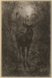 Cerf de saint Hubert