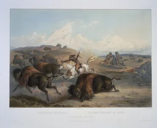 Indiens chassant le bison