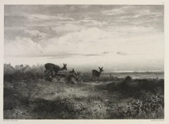 Paysage avec des cerfs