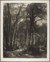 Un homme dans les bois