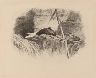 Pigeon sur un nid