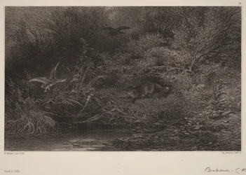 Renard à l