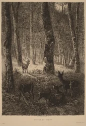 Retour au bercail
