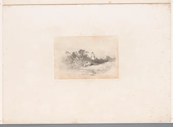 Deux hérons au bord de l
